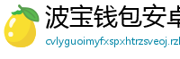波宝钱包安卓下载